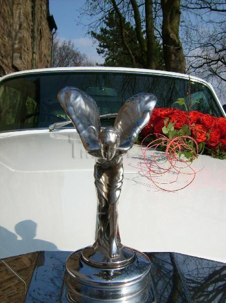Oldtimer mieten & vermieten - Rolls Royce - Oldtimer - Hochzeitsauto schneeweiß in Meppen
