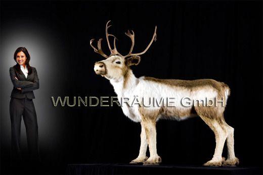 Weihnachtsdekoration mieten & vermieten - Größter dt. Fundus f. Weihnachtsdeko XXL, WUNDERRÄUME GmbH vermietet: in Lichtenstein/Sachsen