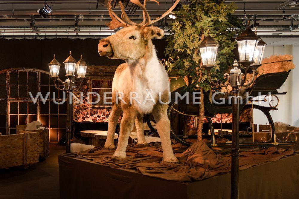 Weihnachtsdekoration mieten & vermieten - Größter dt. Winter & Weihnachtsfundus XXL, WUNDERRÄUME GmbH vermietet: Dekoration / Kulisse für Event, Messe, Veranstaltung, Incentive, Mitarbeiterfest, Firmenjubiläum in Lichtenstein/Sachsen