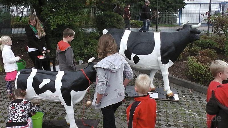 Melkkuh mieten & vermieten - Wettmelken mit den Kühen von Bauer Ewald mieten - Selbstabholer möglich in Bramsche