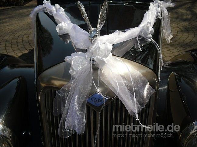 Hochzeitsauto mieten & vermieten - Hochzeitsauto Oldtimer Cabrio Hochzeitsfahrt in Emsdetten