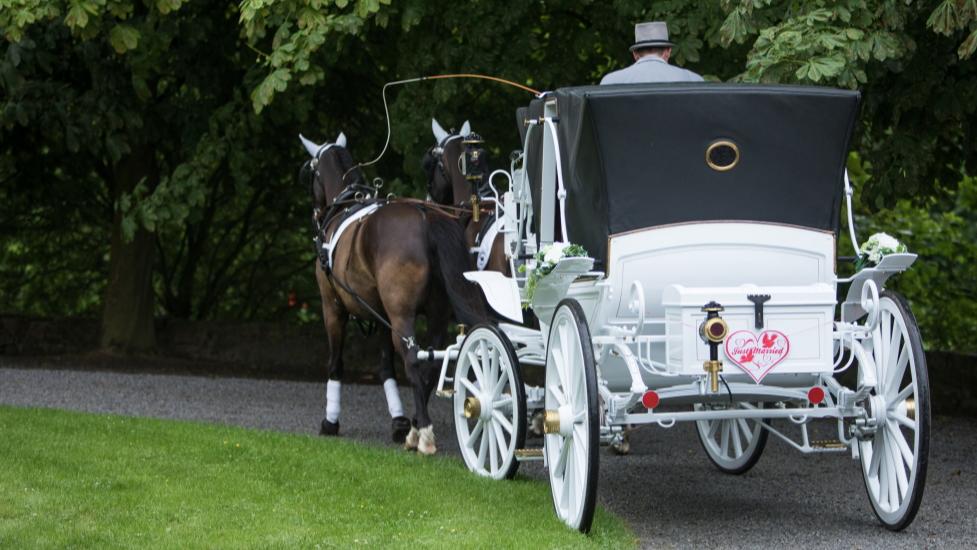 Hochzeitskutsche mieten & vermieten - Hochzeitskutsche; Kutschfahrt; Weisse Kutsche in Lemgo