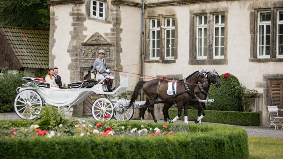 Hochzeitskutsche mieten & vermieten - Hochzeitskutsche; Kutschfahrt; Weisse Kutsche in Lemgo