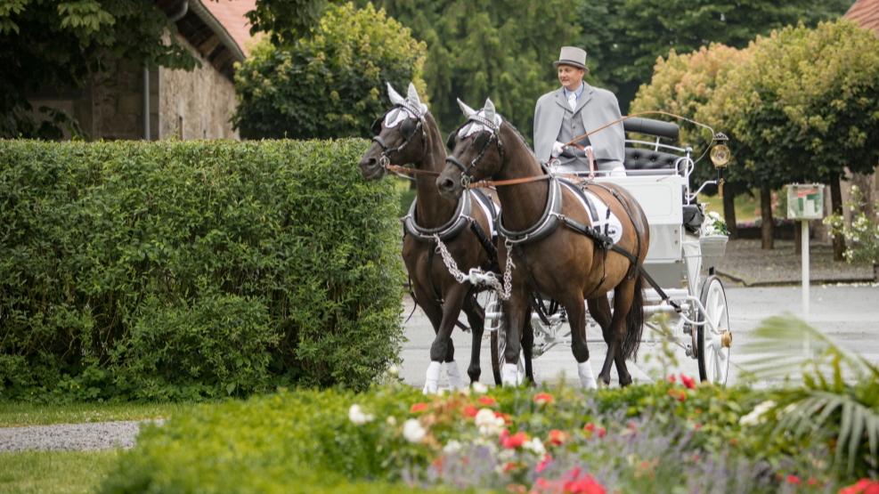 Hochzeitskutsche mieten & vermieten - Hochzeitskutsche; Kutschfahrt; Weisse Kutsche in Lemgo