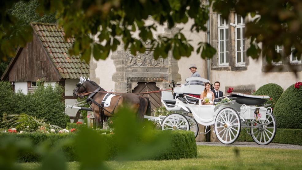 Hochzeitskutsche mieten & vermieten - Hochzeitskutsche; Kutschfahrt; Weisse Kutsche in Lemgo