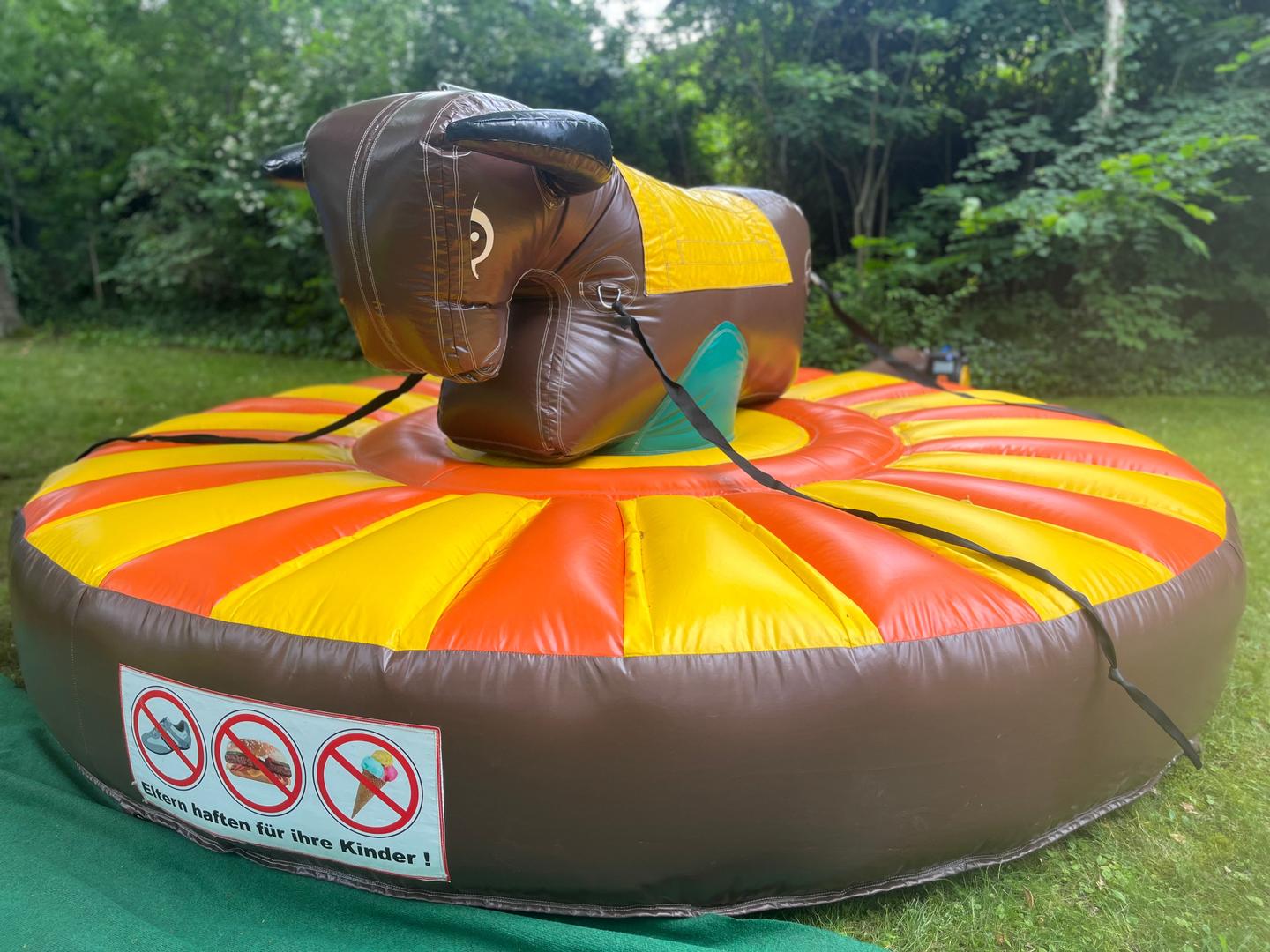 Bullriding mieten & vermieten - Soft-Bullriding - Bullriding für Kids, Pull-Riding, Rodeo Bullriding in Dresden