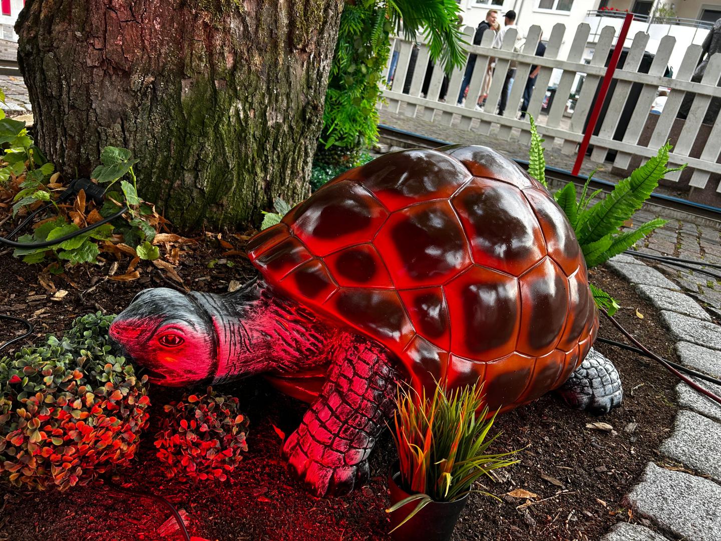 Eisenbahn mieten & vermieten - Kindereisenbahn in Bielefeld
