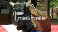 Bullriding - bezwingen Sie unseren Bullen