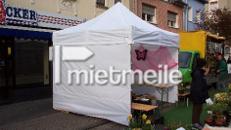 Pavillon/ Zelt/ Pavillonzelt 3x3m