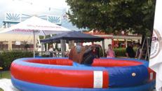 Vermietung Rodeo Bullriding - "Bullriding Rodeo We