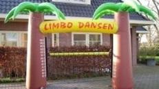 Vermietung Spielgeräte - "Limbo"