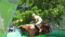 Bullriding Sonderangebot 2015! Profi Anlage!