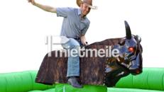 BAYERN- / OKTOBERFEST / WILD WEST PARTY