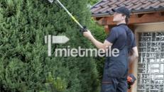 Benzin-Heckenschere für hohe Hecken