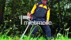 Stihl Motorsense / Freischneider