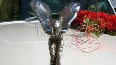 Rolls Royce - Oldtimer - Hochzeitsauto schneeweiß