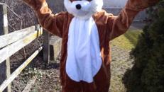 Osterhase, Hund Schnüffel, Krokodil und Shaun das Schaf als Walk Act Figuren & Ballon Figuren, Hüpfburg, Torwand, Glücksrad, Ballontiere, Ballon Künstler, Kinderdisco, Kinder Party