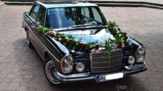 Hochzeitsfahrt Oldtimer Mercedes Augsburg+Umgebung