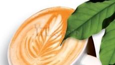 Konja Buna - Messe und Event Kaffee Catering!