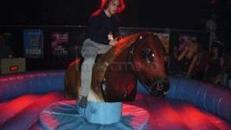 Rodeostier, Bullenreiten, Bullridingverleih