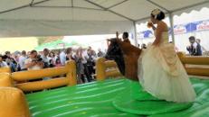 Bullriding, Almrodeo, Bullenreiten, mieten verleih Stuttgart Ulm Heilbronn München Karlsruhe