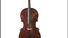 Cello / Violoncello Vermietung