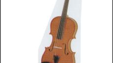 Viola / Bratsche Vermietung