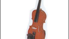 Violine / Geige Vermietung