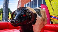 Rodeo Bullriding mieten
