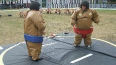 Sumo Ringen Inkl. MWSt.