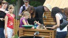 Goldwaschanlage inkl. 1 Eventbetreuer (6 Std.)