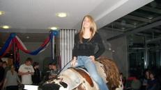 American Rodeo -Bullriding. Inkl. MWSt.