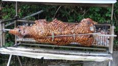 Spanferkelgrill, Lammgrill, Hähnchengrill, Haxen