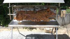 Spanferkelgrill, Lammgrill, Hähnchengrill, Haxen