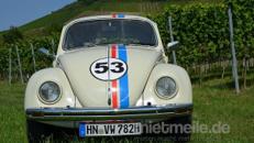 VW Käfer Oldtimer zum selber fahren
