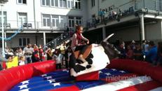 Schicker Rodeobulle von "Crazy Bullriding"