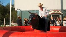 Bullriding, Rodeostier mieten Stuttgart