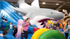 260 qm Shark Attack - Hairutsche - Active Center