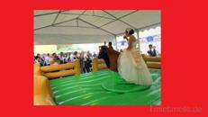 Bullriding, rodeostier mieten, leihen, verleih