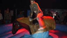 bullriding, rodeostier mieten, leihen, verleih