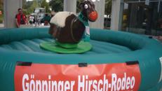 Bullriding, Hirsch Rodeo mieten, leihen, verleih