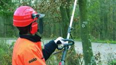 Astsäge 30 cm Schwertlänge, bis 4 m Arbeitshöhe, Benzingemisch
