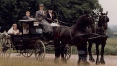 Hochzeitskutsche auf höchstem Niveau NRW u. Niedersachsen Neu jetzt auch Oldtimer als Cabrio