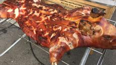 Spanferkel, Lamm, Wildschwein, Lachs, Mutzbraten frisch gegrillt
