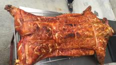 Spanferkel Wildschwein Lamm Truthahn Ente Gans frisch gegrillt