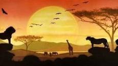 Sonnenuntergang in der Savanne Kulisse, Kulisse, Savanne, Sonne, Sonnenuntergang, Afrika, afrikanisch, Tiere, Wildtiere