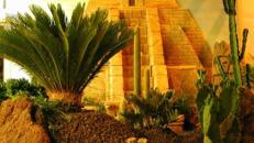 Inka Tempel Szenerie, Inkatempel, Tempelanlage, Tempel, Azteken, Mayas, Maya, Inka, Südamerika, Ureinwohner, Urvolk