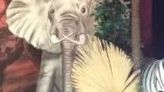 Elefant Cut Out, Elefant, Cut Out, Afrika, Savanne, afrikanisch, Indien, indisch, Asia, Asien, asiatisch, Tier
