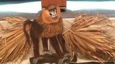 Affen Cut Outs, Affe, Affen, Äffchen, Kletterer, Kapuziner, Dschungel, Urwald, Tier, Wildtier, Zoo, Afrika, afrikanisch