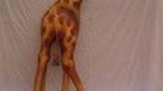 Giraffen Halbbüste, Halbbüste, Giraffe, Figur, Savanne, Afrika, afrikanisch, Tier, Relief, Dekoration, Event, Messe